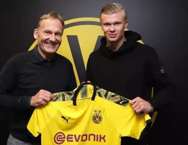 钟前的小龙 钟前的小龙