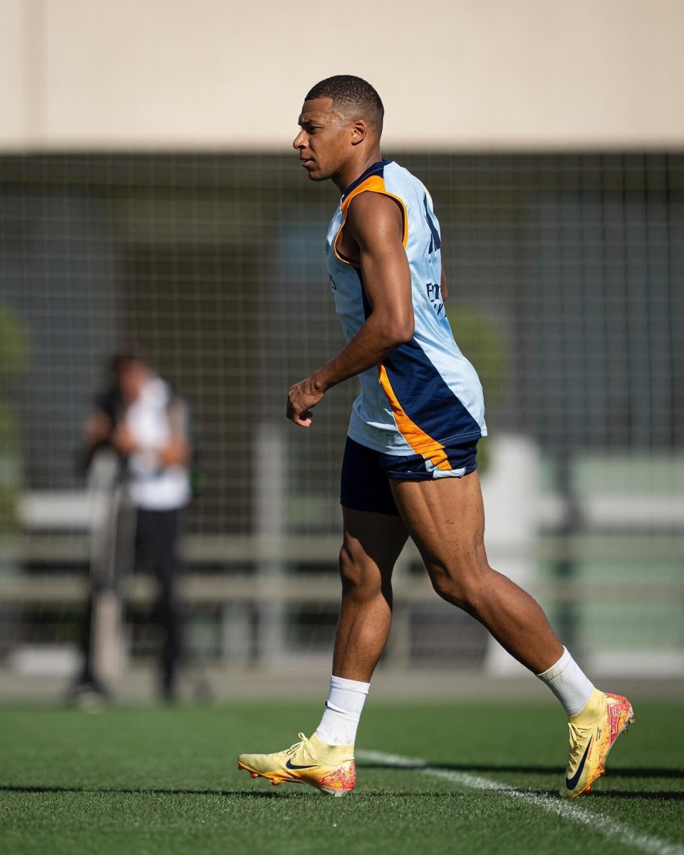 体系磨合的 体系磨合的