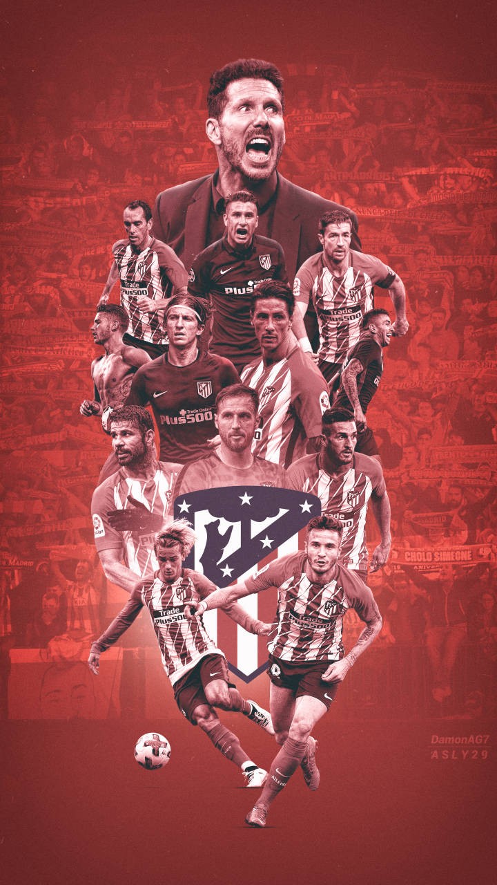 与职业赛场 与职业赛场